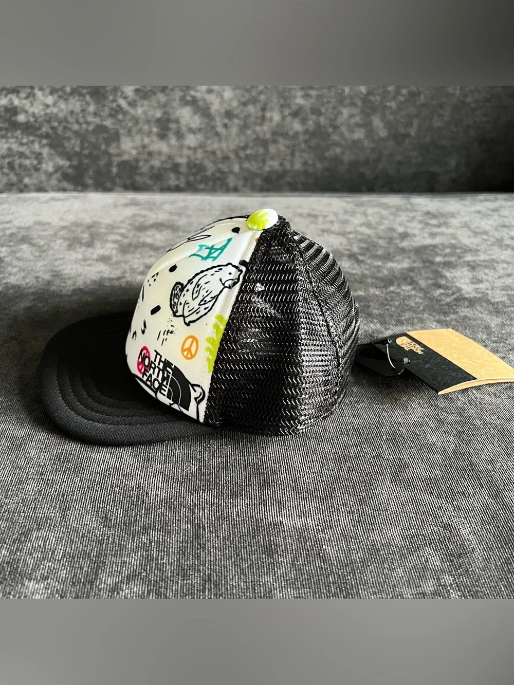 The North Face this hat
